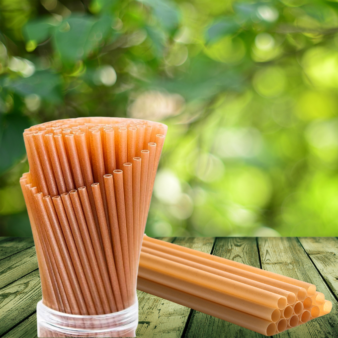 Ống hút bã mía Cần Thơ Biogreen