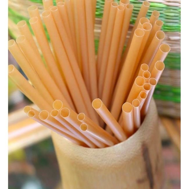 Quy trình sản xuất ống hút bã mía Đà Nẵng